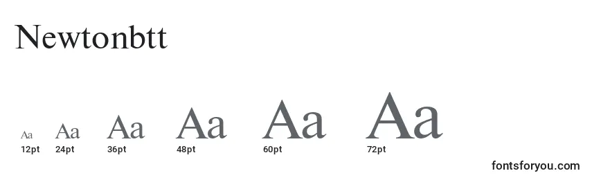 Newtonbtt Font Sizes