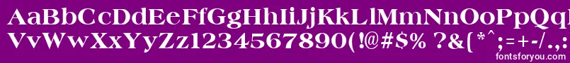 AmphionextraboldRegular Font – White Fonts on Purple Background