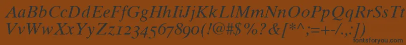 Times10ItalicOldstyleFigures Font – Black Fonts on Brown Background