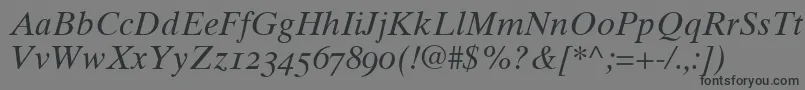 Times10ItalicOldstyleFigures Font – Black Fonts on Gray Background