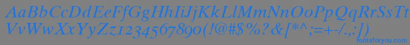 Times10ItalicOldstyleFigures Font – Blue Fonts on Gray Background