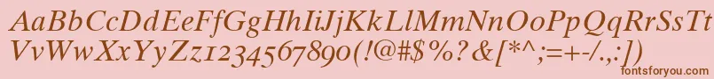 Times10ItalicOldstyleFigures Font – Brown Fonts on Pink Background