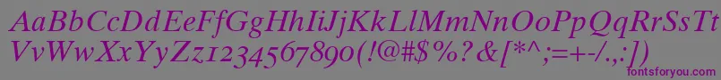 Times10ItalicOldstyleFigures Font – Purple Fonts on Gray Background