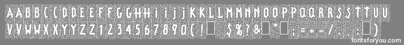 LinotypepaintitBlack Font – White Fonts on Gray Background