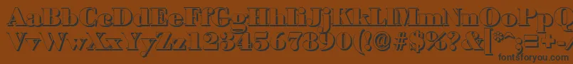 BodonishadowBlackRegular Font – Black Fonts on Brown Background