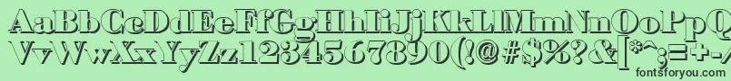 BodonishadowBlackRegular Font – Black Fonts on Green Background