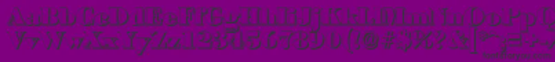 BodonishadowBlackRegular Font – Black Fonts on Purple Background