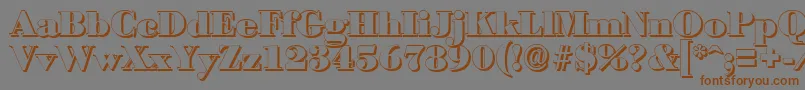 BodonishadowBlackRegular Font – Brown Fonts on Gray Background