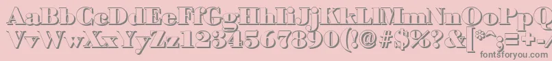 BodonishadowBlackRegular Font – Gray Fonts on Pink Background