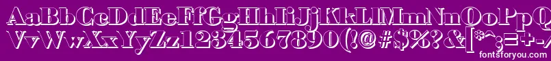 BodonishadowBlackRegular Font – White Fonts on Purple Background