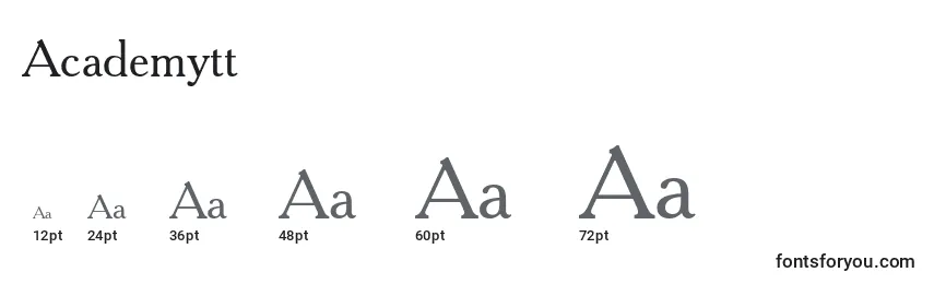 Academytt Font Sizes
