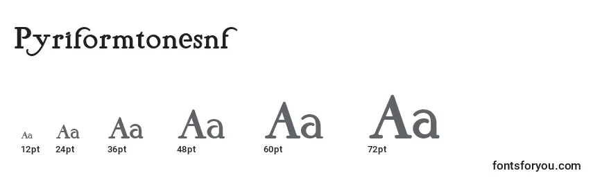Размеры шрифта Pyriformtonesnf