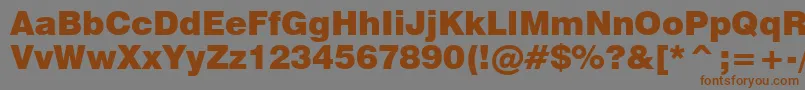 Swz721k Font – Brown Fonts on Gray Background