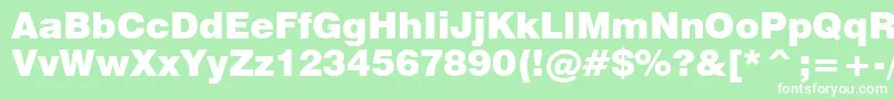 Swz721k Font – White Fonts on Green Background