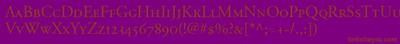 AdobeGaramondSmallCapsOldstyleFigures Font – Brown Fonts on Purple Background