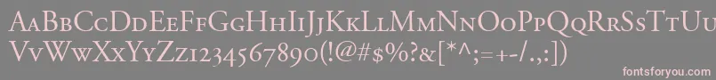 AdobeGaramondSmallCapsOldstyleFigures Font – Pink Fonts on Gray Background