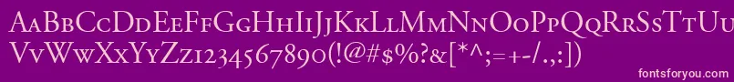 AdobeGaramondSmallCapsOldstyleFigures Font – Pink Fonts on Purple Background