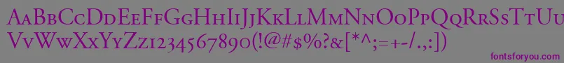 AdobeGaramondSmallCapsOldstyleFigures Font – Purple Fonts on Gray Background