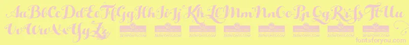 Helloscript Font – Pink Fonts on Yellow Background