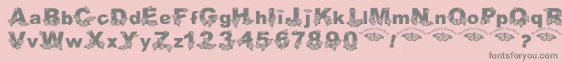 Wlroyalflutterbold Font – Gray Fonts on Pink Background