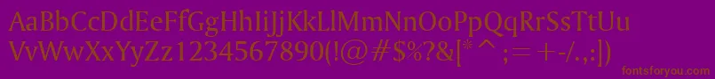 AmerettoNormal Font – Brown Fonts on Purple Background