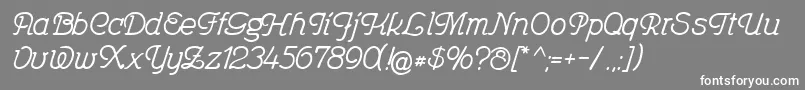 Feronia Font – White Fonts on Gray Background