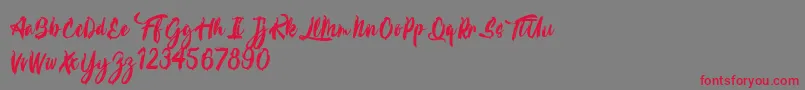 Calypsoka Font – Red Fonts on Gray Background