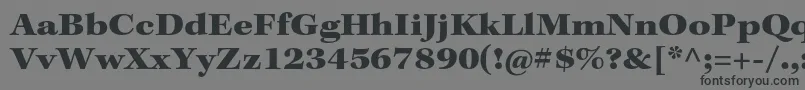 KeplerstdBlackext Font – Black Fonts on Gray Background