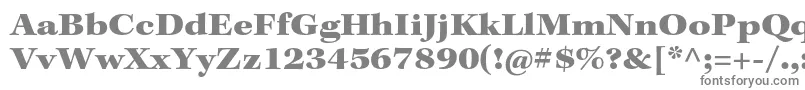 KeplerstdBlackext Font – Gray Fonts on White Background