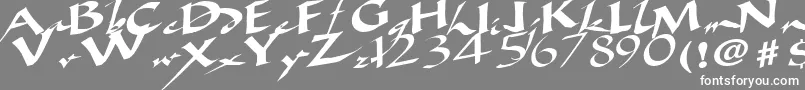 AncientRegularTtstd Font – White Fonts on Gray Background