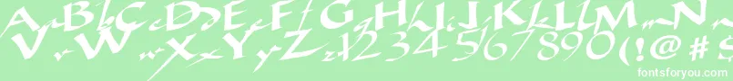 AncientRegularTtstd Font – White Fonts on Green Background