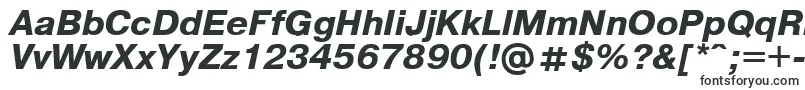 Pragmaticaregular.KzBoldItalic Font – Fixed-width Fonts