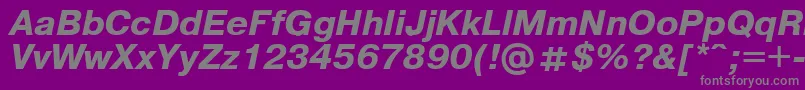 Pragmaticaregular.KzBoldItalic Font – Gray Fonts on Purple Background
