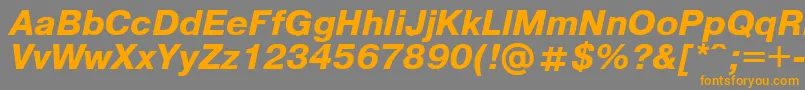 Pragmaticaregular.KzBoldItalic-Schriftart – Orangefarbene Schriften auf grauem Hintergrund