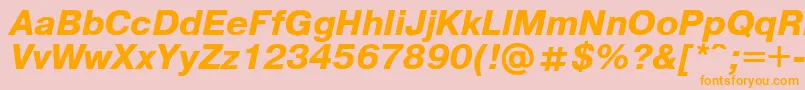 Pragmaticaregular.KzBoldItalic Font – Orange Fonts on Pink Background