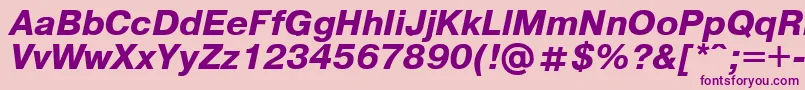 Pragmaticaregular.KzBoldItalic Font – Purple Fonts on Pink Background