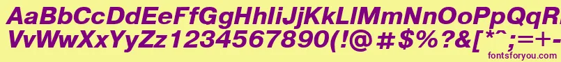 Pragmaticaregular.KzBoldItalic Font – Purple Fonts on Yellow Background