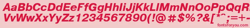 Pragmaticaregular.KzBoldItalic Font – Red Fonts on Pink Background