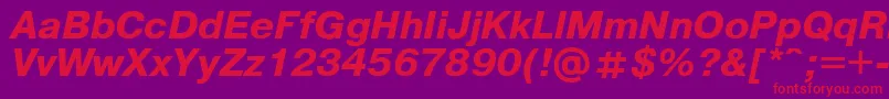 Pragmaticaregular.KzBoldItalic Font – Red Fonts on Purple Background