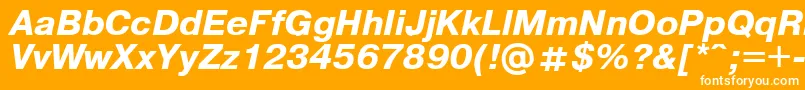 Pragmaticaregular.KzBoldItalic Font – White Fonts on Orange Background