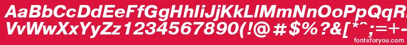 Pragmaticaregular.KzBoldItalic Font – White Fonts on Red Background