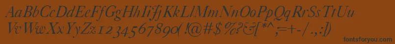 CaslonClassicoItalic Font – Black Fonts on Brown Background
