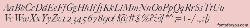 CaslonClassicoItalic Font – Black Fonts on Pink Background