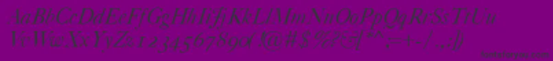 CaslonClassicoItalic Font – Black Fonts on Purple Background