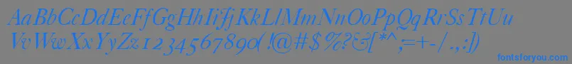 CaslonClassicoItalic Font – Blue Fonts on Gray Background