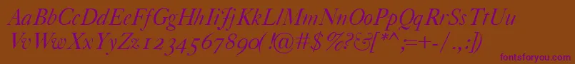 CaslonClassicoItalic Font – Purple Fonts on Brown Background