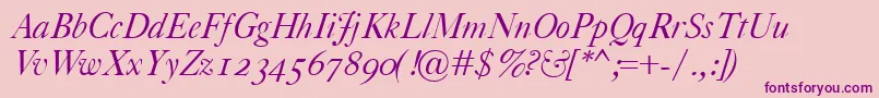 CaslonClassicoItalic Font – Purple Fonts on Pink Background