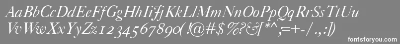 CaslonClassicoItalic Font – White Fonts on Gray Background