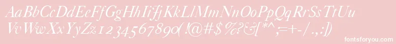 CaslonClassicoItalic Font – White Fonts on Pink Background