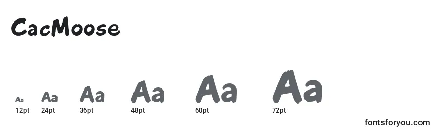 CacMoose Font Sizes